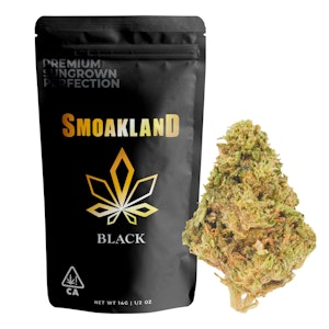 SMOAKLAND - Black - Gush Mintz (H) - 14g