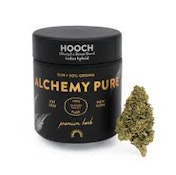 Hooch | Flower | 3.5g (Alchemy Pure)