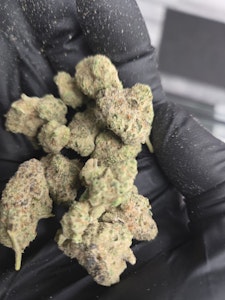 BUTTER - Tropical Runtz Blunts 