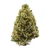 Alien Cookies
