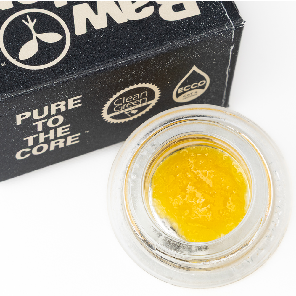 Raw Garden: GovernMint - Live Resin - 1g