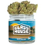 Glass House Farms - Gelato 33 (I) - Flower - 3.5g
