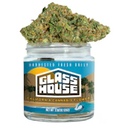 Glass House Farm - Illemonati (H) - Greenhouse - 3.5g
