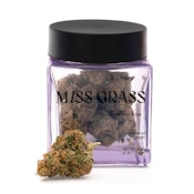 All Times  - 4.2G (H) - Miss Grass