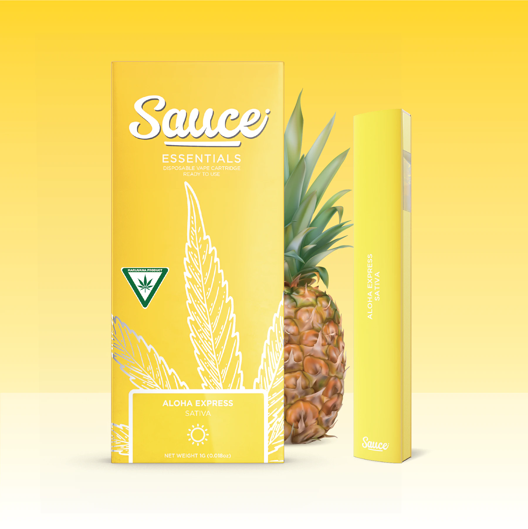 Sauce - Sauce Disposable - Aloha Express - 1g Main Image