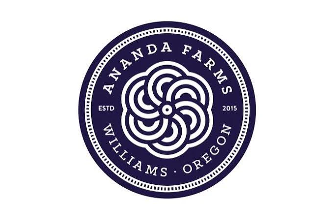 Ananda - Ananda | Zour Banger Main Image