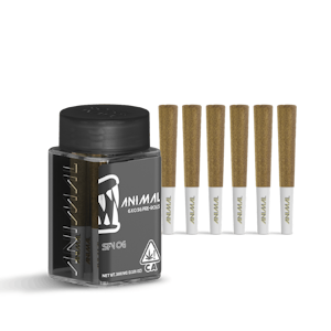 ANIMAL - ANIMAL | SFV OG - 6PK INFUSED | PREROLL | 3G