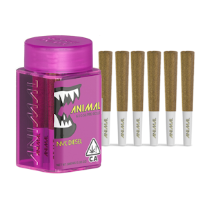 ANIMAL - ANIMAL | NYC DIESEL - 6PK INFUSED | PREROLL | 3G