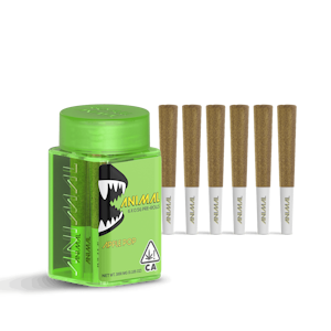 ANIMAL - ANIMAL | APPLE POP - 6PK INFUSED | PREROLL | 3G
