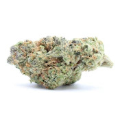 ANIMAL COOKIES - TURNTABLES SUPREME SHELF FLOWER 14G