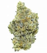 Animal Cookies