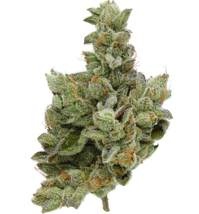 Fig Farms - Indoor- Animal Face - (H) - Fig Farms - 3.5g Main Image