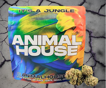 ANIMAL HOUSE - Animal House | Vanilla Cream | 3.5 indica