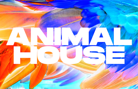 ANIMAL HOUSE - Animal House | Flower - Grape Ape | 3.5g