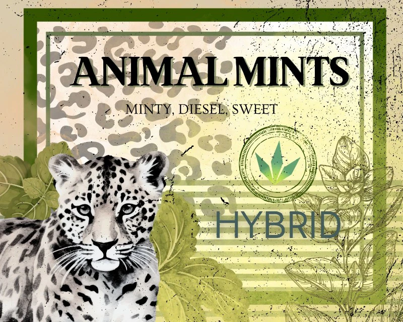 The Hempire Collective - THC | Animal Mints Main Image