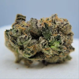 The Hempire Collective - THC - Animal Mints Flower Main Image