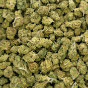 ANIMAL MINTZ INFUSED