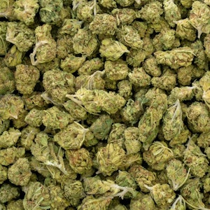 HSP - ANIMAL MINTZ SMALLS