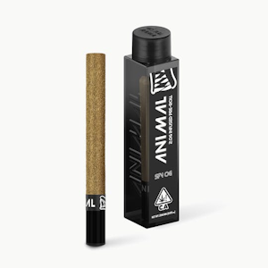 ANIMAL - ANIMAL | SFV OG - INFUSED | PREROLL | 2G