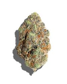 AMSTERDAM | ANIMAL TREE | 3.5g Prepack