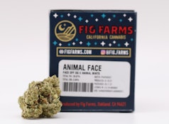 Animal Face - Flower Jar - 3.5g - Fig Farms