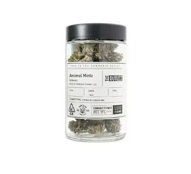 The Outlitt - ANIMAL MINTS 14G - THE OUTLITT Main Image