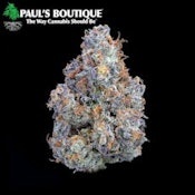 Paul's Boutique | African Orange | 3.5g [H]
