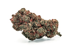 Apple Fritter