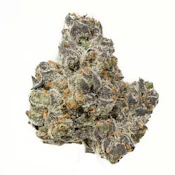 BD Apple Fritter | 3.5g