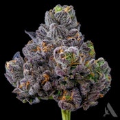 Appz Bnnz Flower T21.54% H 00212