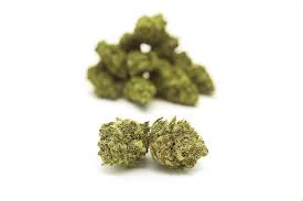 NATURE'S MEDICINE - Buds - April's Frost Main Image