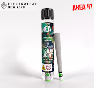Electra Leaf - Area 41 1G Pre Roll