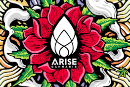Arise | Jungle Juice | 1.0g Hybrid Distillate AIO