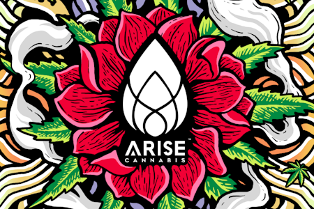 Arise Cannabis - Arise | Rude Boi | 1.0g Indica Distillate AIO