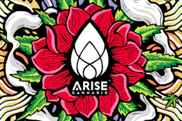 Arise | Sour Diesel x Purple Churro | 5 x 1g Day + Night Preroll Pack