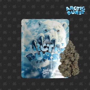 SEED JUNKY - Seed Junky - Hybrid - Arctic Burst Indoor - (3.5g)
