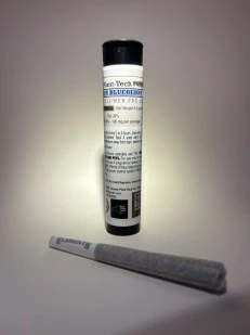 Pioneer Plant-Tech - Pioneer Blueberry | Preroll | .5g | Pioneer Plant-Tech Main Image