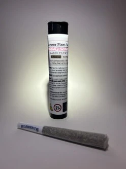 Pioneer Plant-Tech - Sundae Thumper | Infused Preroll | .5g | Pioneer Plant-Tech Main Image