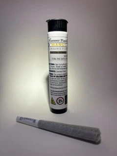 Pioneer Plant-Tech - Mango Smile | Preroll | .5g | Pioneer Plant-Tech Main Image