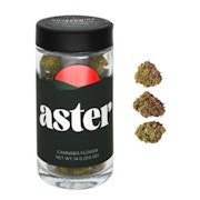 ASTER | Rainbow Chipz | 14G Flower