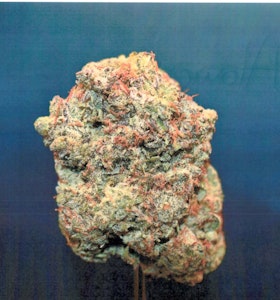 CURALEAF - Curaleaf Whole Flower 3.5g Atomic Breath (H) 01147