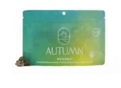 Autumn Brands Smalls 28g Sour Power #69