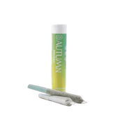 Autumn | Blue Dream CBD | 2pk