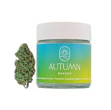 Autumn Brands - Autumn Brands - 3.5g - CBD Blue Dream Main Image