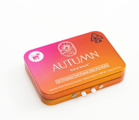 Autumn Brands - Preroll - Lemon Haze x Illemonatti - 10pk - (S) 3.6g