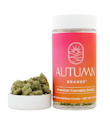 Autumn Brands | Space Station | Smalls Flower | 1/2oz