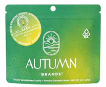Autumn | Italian Lemonade | 7g