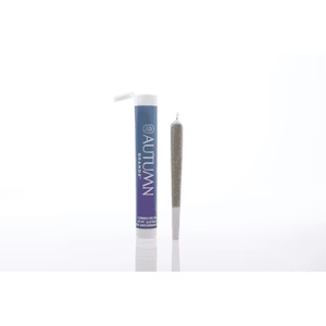 AUTUMN BRANDS - Autumn | Purple Dump Truck | Single