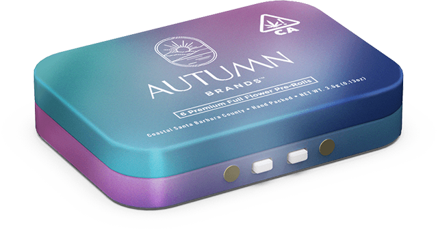 Autumn | Mint Condition | 6pk