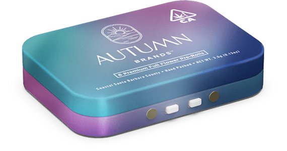 AUTUMN BRANDS - Autumn | Mint Condition | 6pk